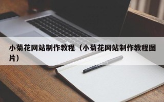 儋州小菊花网站制作教程（小菊花网站制作教程图片）