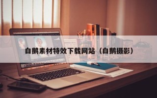 儋州白鹅素材特效下载网站（白鹅摄影）